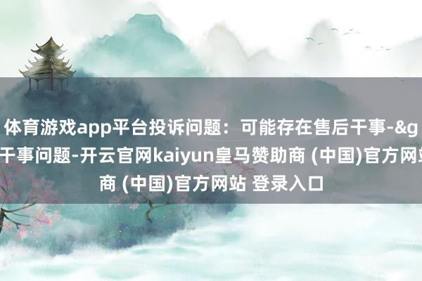 体育游戏app平台投诉问题：可能存在售后干事->其他售后干事问题-开云官网kaiyun皇马赞助商 (中国)官方网站 登录入口